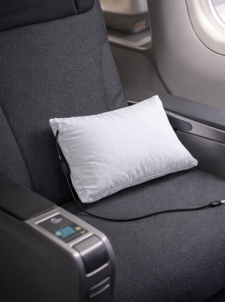 Travel Sound Pillow